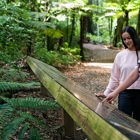 Kereru Sign in the forest