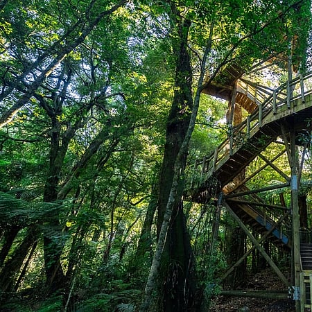 Observation Tower