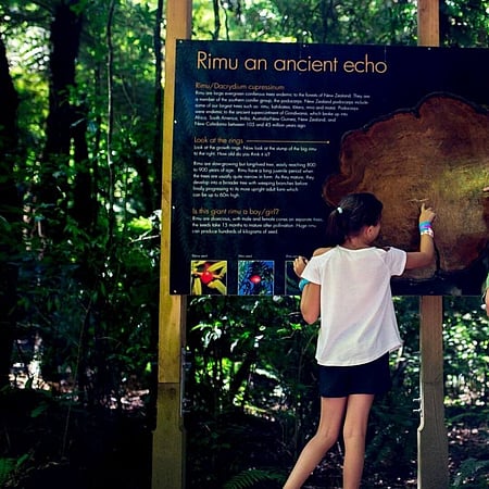 Family at Rimu Sign