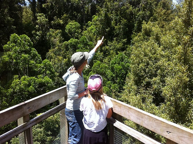 Private Guided Tour