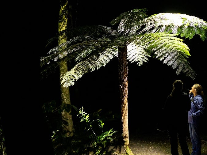 Sanctuary Mountain at Night