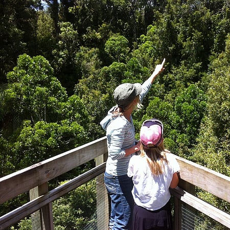 Private Guided Tour