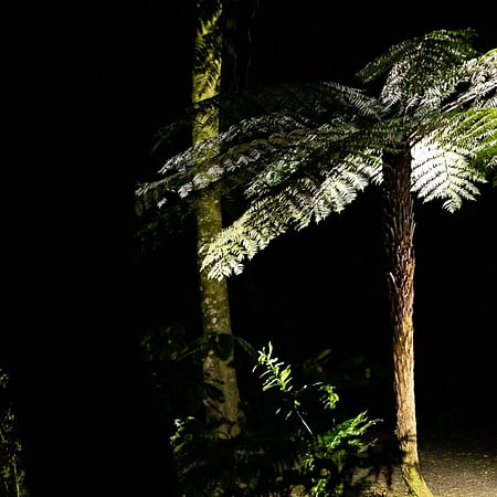Sanctuary Mountain at Night