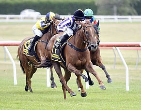 King enjoying strong start with Mid Ocean