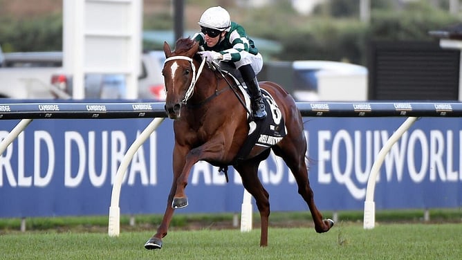 Well Written will be one of three runners for Yulong Investments at Ellerslie on Champions Day - Photo: Kenton Wright (Race Images)
