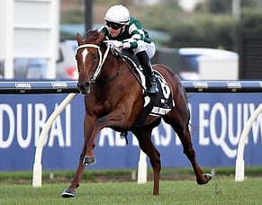 Yulong&rsquo;s Kiwi investment set to pay off on Champions Day