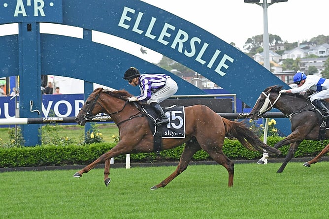 Mid Ocean will be seeking a special win when she lines up in Saturday's Listed Lisa Chittick Champagne Stakes at Matamata. - Photo: Kenton Wright (Race Images)