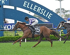 Tyro trainer seeking special result on Matamata Breeders&rsquo; Stakes day