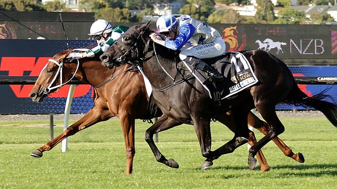 Well Written (inside) winning the $4 million NZB Kiwi (1500m) - Photo: Kenton Wright (Race Images)
