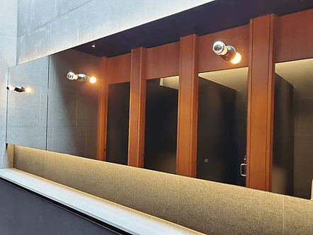 Te Puia bathroom mirrors with lighting