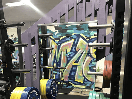Gym mirrors