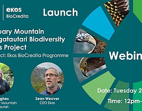 Biodiversity Credits Pilot