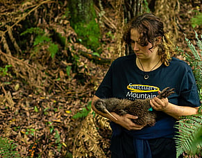 Farmers rally behind kiwi