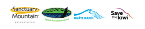 Kiwi from Sanctuary Mountain Maungatautari Move to Karioi Rāhui