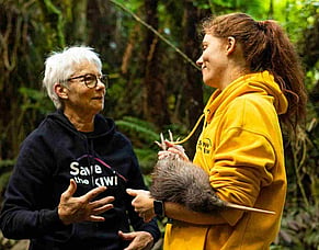 Kiwi road trip: How to drive with the national bird in the back seat