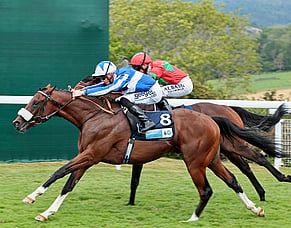 Novara Park secures globe-trotting Group One performer