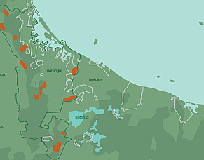 In the media: Global Rewilding Alliance