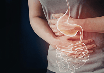 Digestion