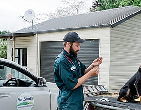 Protect your pack: Essential vaccinations for working dogs