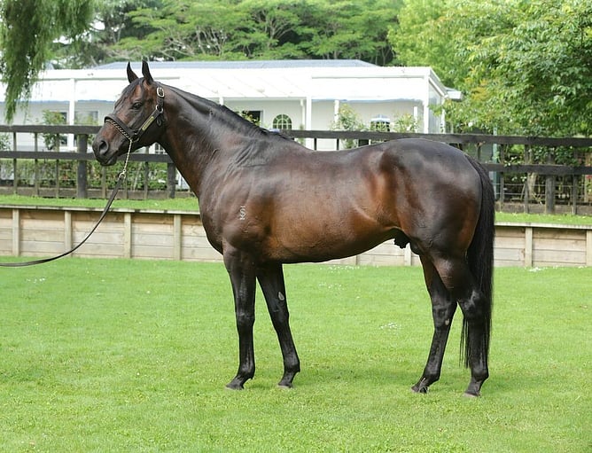 Shocking. -  Photo: Supplied