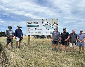 Restoring a thriving coastline at Wainui