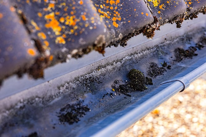 Guttering that needs attention