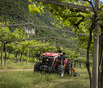 Massey Ferguson MF 3GE Speciality Series Tractor low clearance