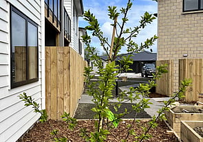 Units / Apartments for SALE | Richmond St, Hamilton | Cornerstone Developments
