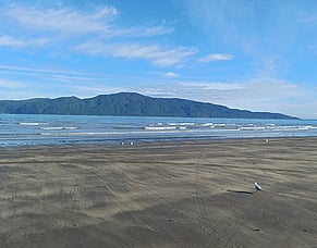 Kāpiti Island &ndash; upplevelsen som var v&auml;rd att v&auml;nta p&aring;