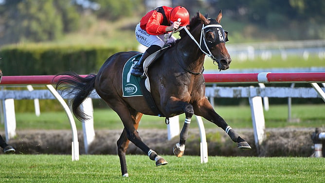 Financier pictured winning at Te Rapa. - Photo: Kenton Wright (Race Images)