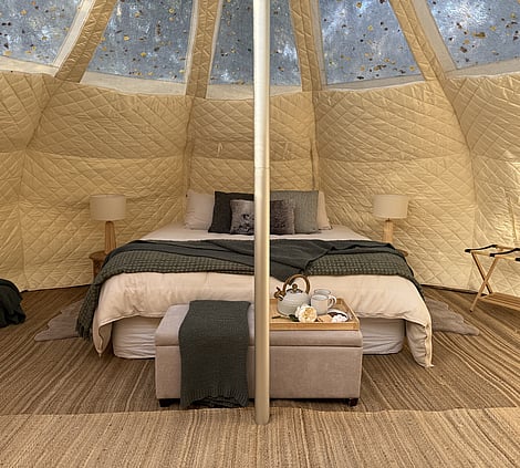 STARGAZER TENTS