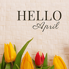 April 2026 Newsletter