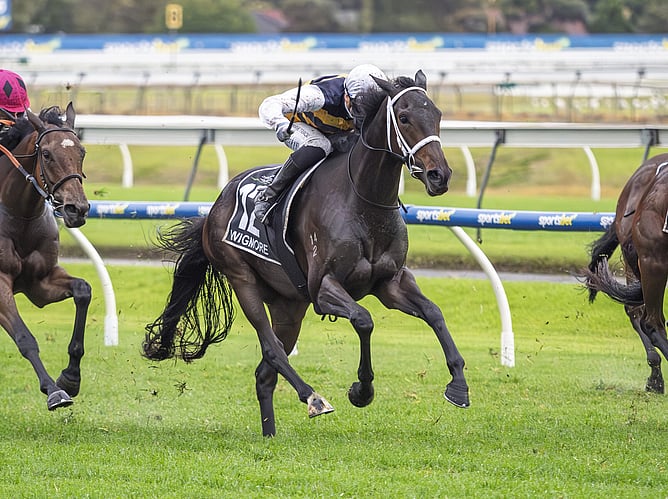 Wigmore, with Teo Nugent aboard, claimed the Gr.1 South Australian Derby (2500m). -  Photo: Atkins Photography