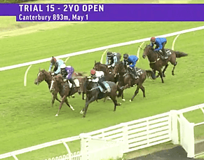 Dubious Express Impresses in Strong Canterbury Trial
