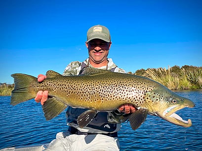 Professional Trout Guide