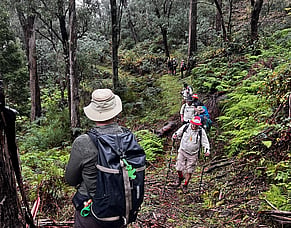 2026 Day 4: A Tough Climb Through Mist, Rain and Reflection