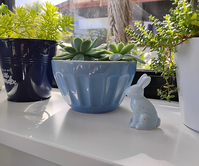 Potted succulents and an ornamental rabbit on a window sill