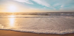 Pay Transparency NZ: What Employers Should Share and When