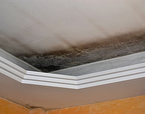 What Homeowners Should Check Before Assuming They Need A Roof Repair