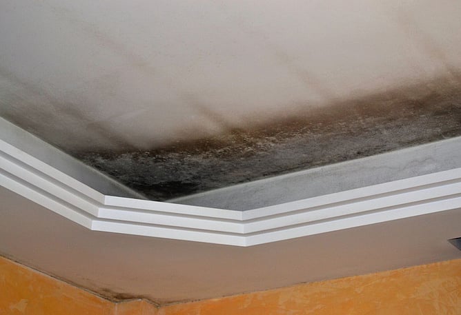 ceiling with black mould from overflowing gutters