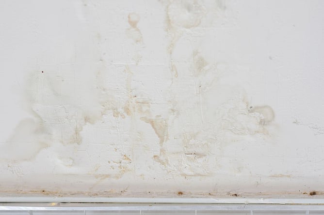 water stain on ceiling