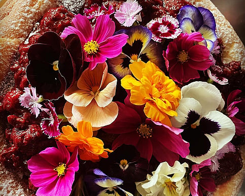 weekend retreat with a cacao ceremony near Wohoanga retreat Otaki NZ