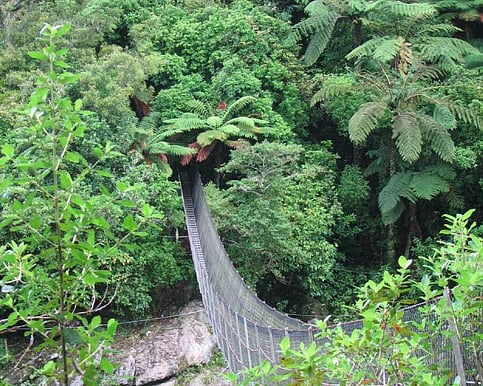 Design your women's wellness retreats on Kapiti Coast near Wellington