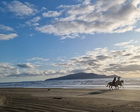 Wellington wellness retreat for women over 40 who want to find their life purpose
