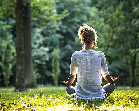 Spring wellness retreat for women in Kapiti Coast 2022