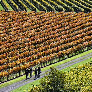 Guided e-bike tour group riding through scenic South Island landscape in New Zealand
