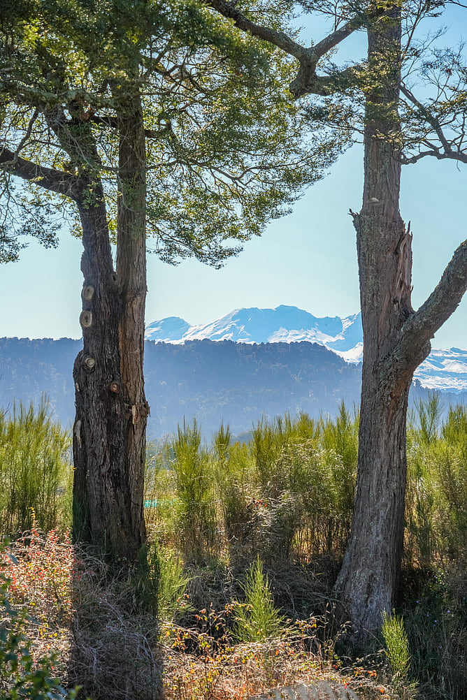 At Two Rivers, the mountain dominates the view, but the trees hug and the rives soothe...