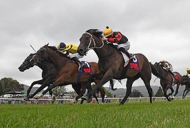 Multiple Group One winner Provence (inside) has been sold for A$1.8 million.  - Photo: Peter Rubery (Race Images)