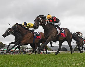 Provence sold for A$1.8 million