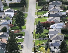 Empowering Your Neighbourhood: A Guide to Local Data Summaries